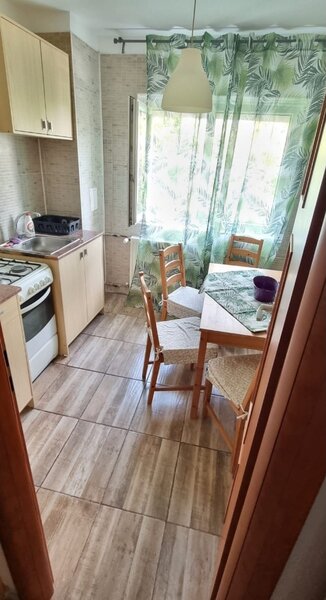 Colentina, Teiul Doamnei