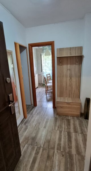 Colentina, Teiul Doamnei