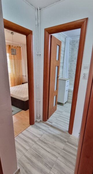 Colentina, Teiul Doamnei