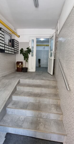 Colentina, Teiul Doamnei