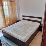 Colentina, Teiul Doamnei